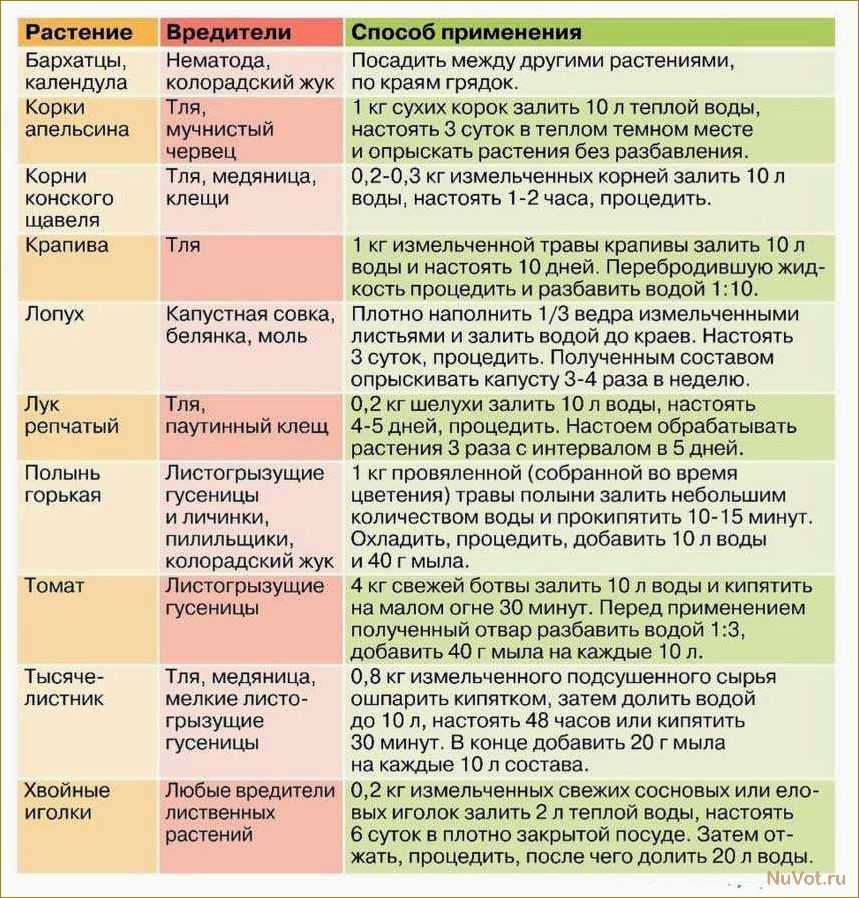 Главные ошибки в работе с химпрепаратами в саду: никогда этого не делайте
