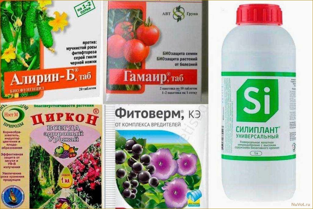 Главные ошибки в работе с химпрепаратами в саду: никогда этого не делайте