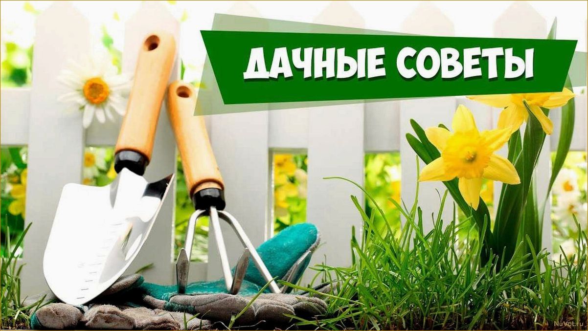 7 главных секретов британских садоводов