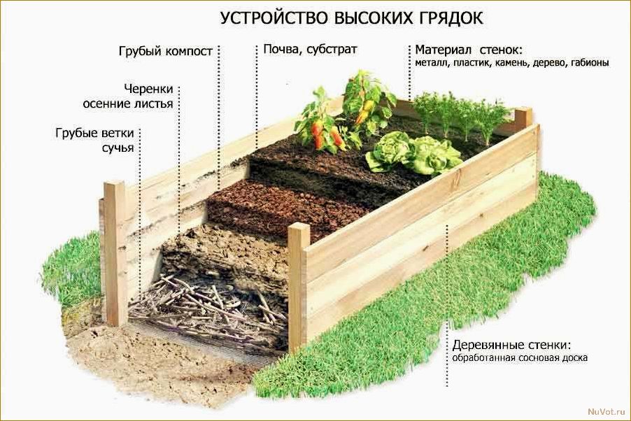 Грядки для ленивых: фото-примеры конструкций и особенности их обустройства из простых материалов