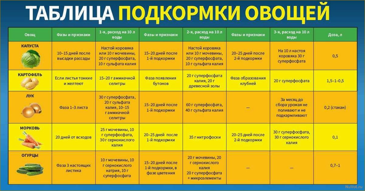 5 простых рецептов домашних удобрений для дачи