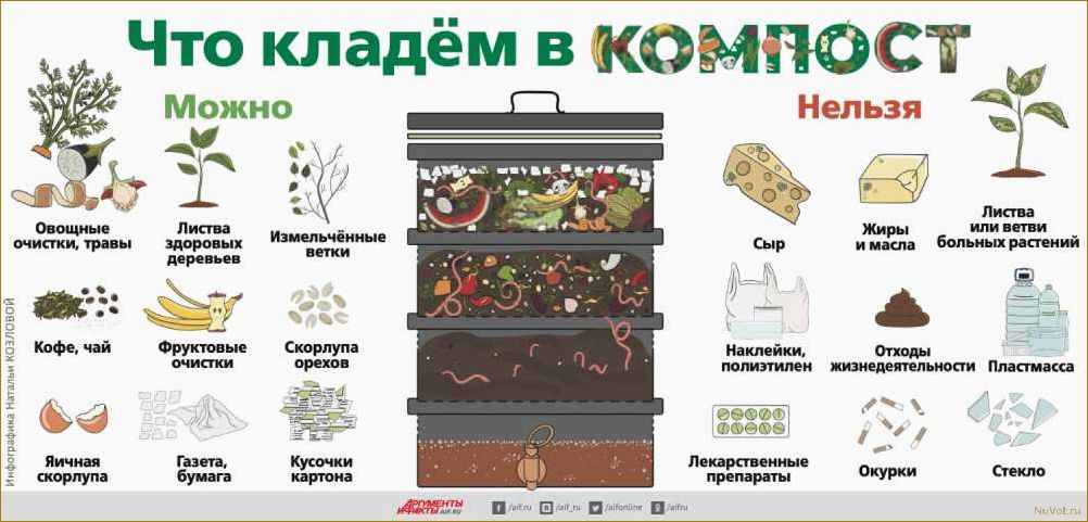 Почему сентябрь — идеальное время для установки компоста