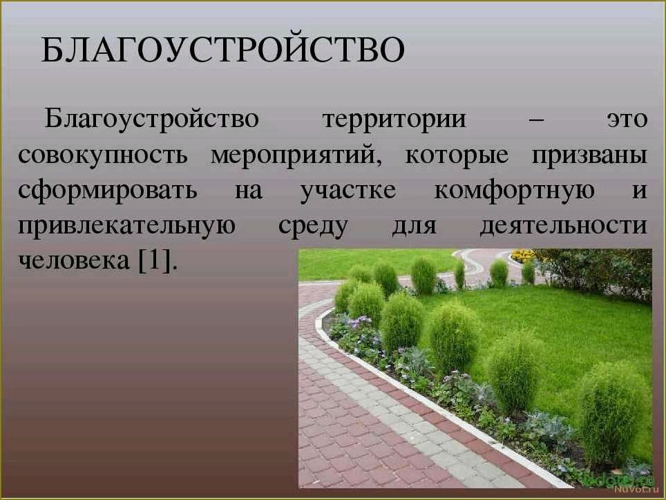 (понимается, благоустройством, территории) Что понимается под благоустройством территории